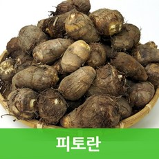 알토란