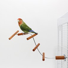 아기구름사다리