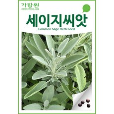 커먼세이지