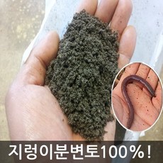 푸른텃밭세상 정품 국내산 지렁이분변토 토령토 냄새없는 천연비료 분변토 10kg, 1개