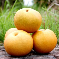 경북배구지주설치