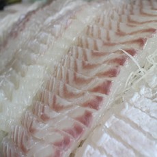 바다사나이 대광어 광어회 250g 통살or슬라이스 필렛, 3개, 광어필렛 250g 내외 1~1.5인분