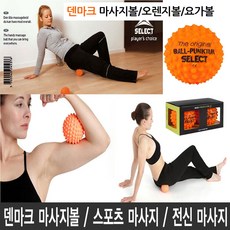 덴마크마사지볼