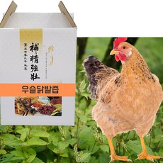 발끝시림