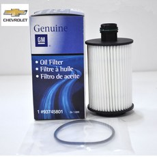 캡티바엔진오일