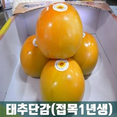 b795f1a7-c262-448c-9c17-a17fd71e8f80.jpg