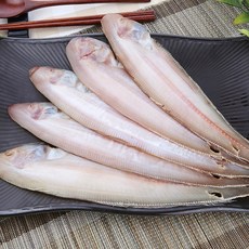 군산반고흐빌리지전