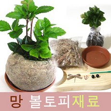 1e27f42d-a587-417b-b44c-9d2cae3709a4.jpg