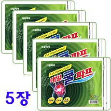 대일선쿨