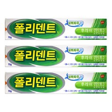폴리덴트접착제