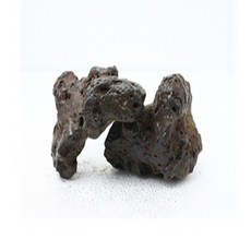 웰컴펫 화산석 (랜덤)1kg, 1개