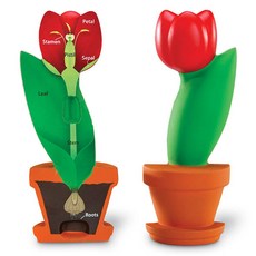 러닝리소스플라워