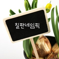 60929bdf-cc45-4395-90ac-839ce569a6b3.jpg
