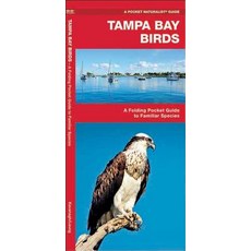 Tampa Bay Birds: An Introduction to Familiar Species Hardcover, Waterford  Press