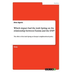 Which Impact Had the Arab Spring on the Relationship Between Tunisia and the Enp? Paperback, Grin Publishing