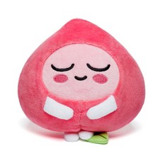 카카오로봇청소기