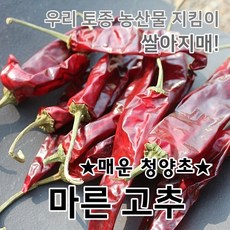 2024년 국산 건고추 마른고추 매운맛 쌀아지매, 1개, 60g