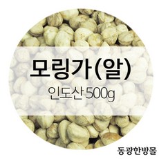 모링가열매(알) 인도산 500g자연식, 1