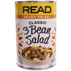Read 클래식 3 빈 샐러드, 425g, 1개