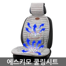파파코코통풍시트