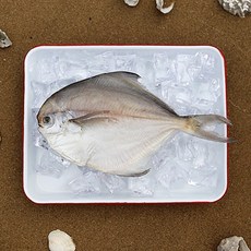 [으뜸해수산] 반건조 생선 병어 (손질 병어), 2개, 24cm전후(중)
