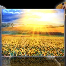 부산해바라기그림원데이클래스