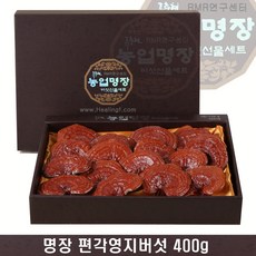 버섯1번지