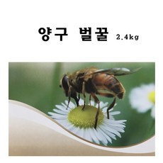 양구지도