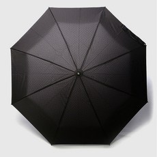 라헨느우산