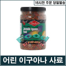 이구아나