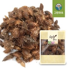 그린약초 국내산 말린 창이자 도꼬마리 300g, 1개