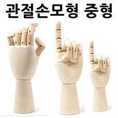 [서울닷컴][신상품][패션]관절손모형 중형 손모형 조형물 손골격모형 구체관절인형 목각관절인형W738946