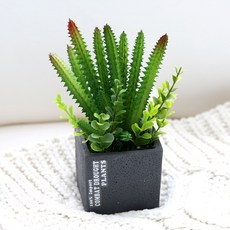 조아트 다육식물 선인장 조화화분 조화장식 인테리어소품, 11.홍채각화분, 그린