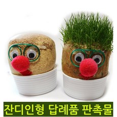 숙씨네 스머프 잔디인형 미니 화분 공기정화식물 토피어리, 1개