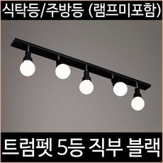 트럼펫4등