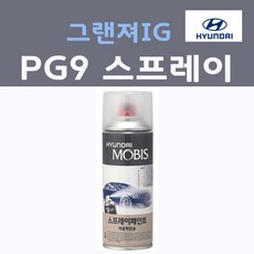 순정품 현대 그랜져IG PG9 스프레이 붓펜 카페인트, 1개, 200ml