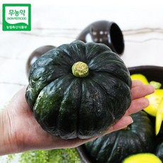 함평미니단호박