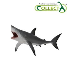 4b85e947-99dd-40e6-a899-2c11c4cd28bf.jpg