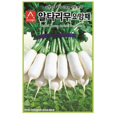 아시아종묘 알타리무씨앗 요맘때 알타리무 (500g), 1개