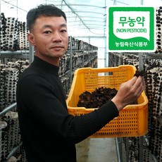 강진농장 무농약인증 생 목이버섯, 1개, 500g