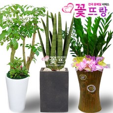 리시안꽃작업실