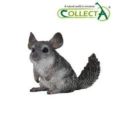 컬렉타사슴벌레