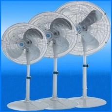 3e506f38-e03b-49c1-9370-dd6f4d4da97a.jpg
