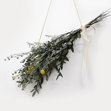 더봄 가랜드 - 유칼립투스와 폴락스(프리저브드)