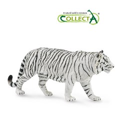 c98edbad-44ca-4f62-9b80-26756955b732.jpg