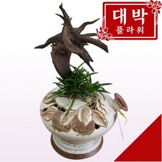 부작난
