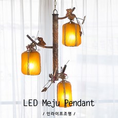 메주3등