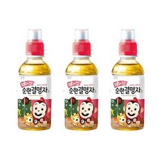 웅진 순한 결명자 차 음료, 200ml, 24개