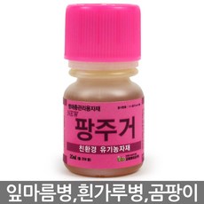 //상품명
