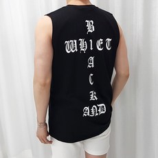 디플로마체
